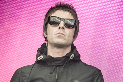 the wombats